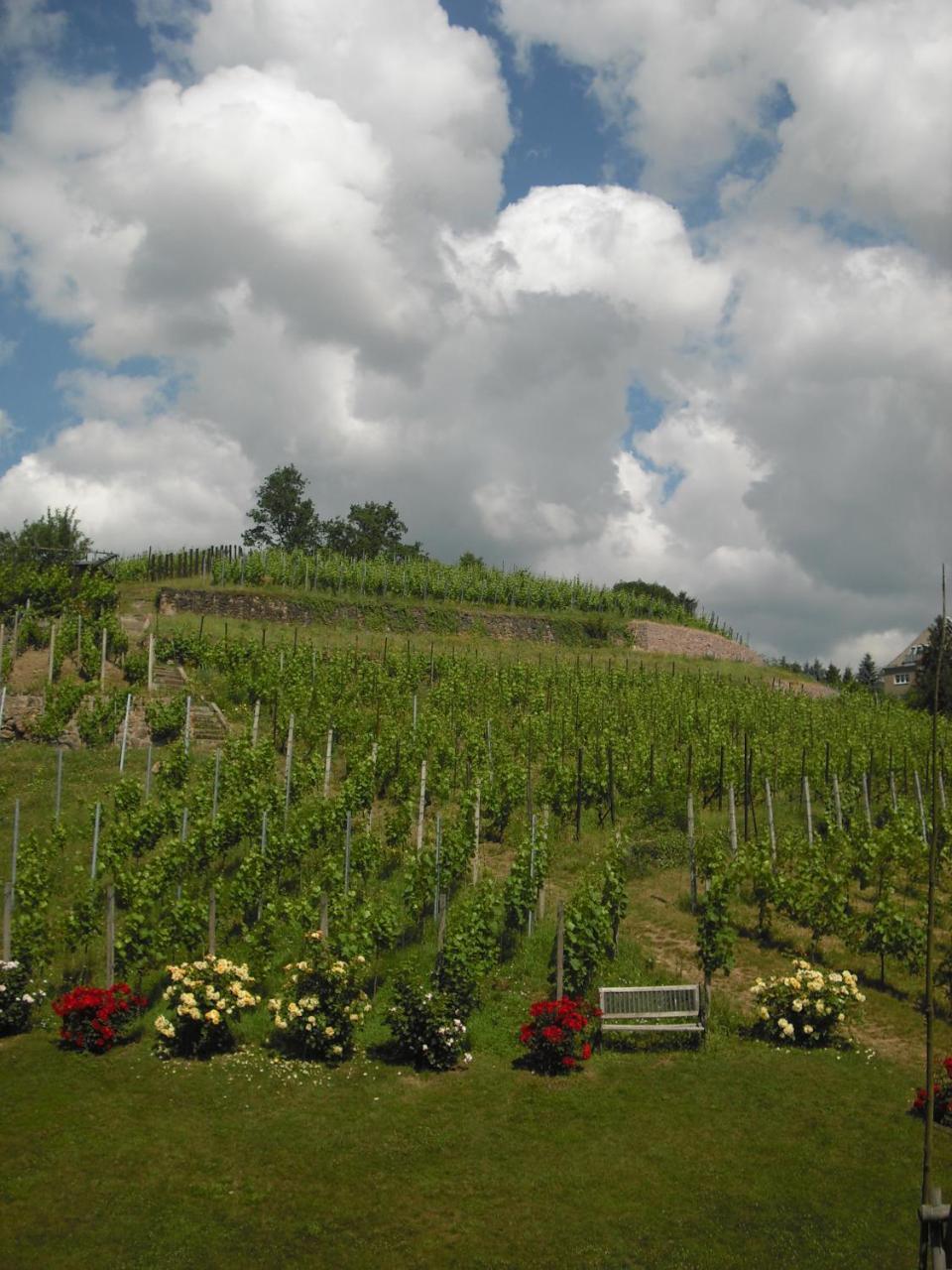 Meißen Weingut Mariaberg 아파트 외부 사진