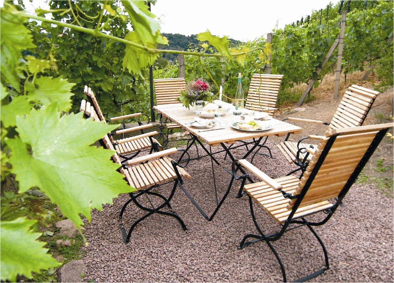 Meißen Weingut Mariaberg 아파트 외부 사진